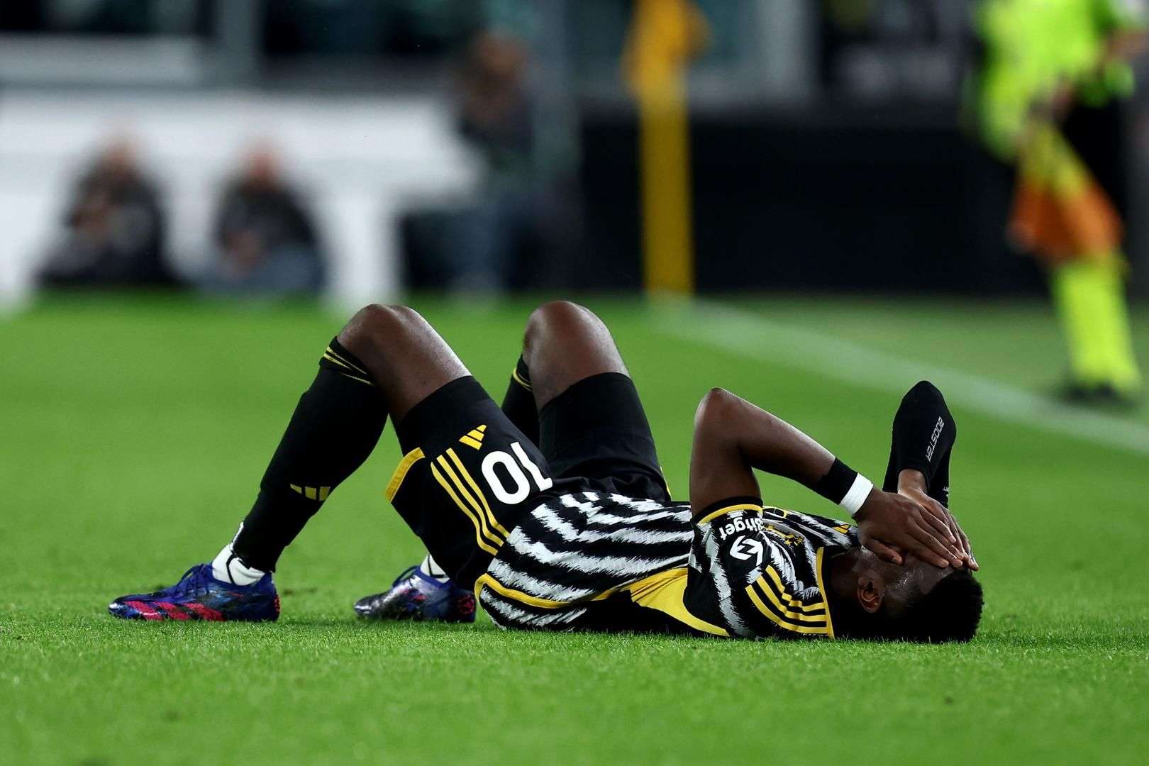 体育金牌回顾：山东选手杨浚瑄摘得游泳接力项目奥运金牌